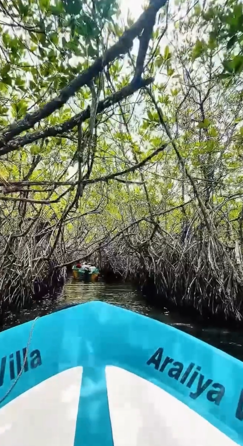 Madu River Boat Tour