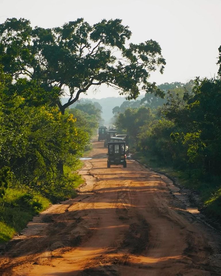Yala National Park Safari gallery 1