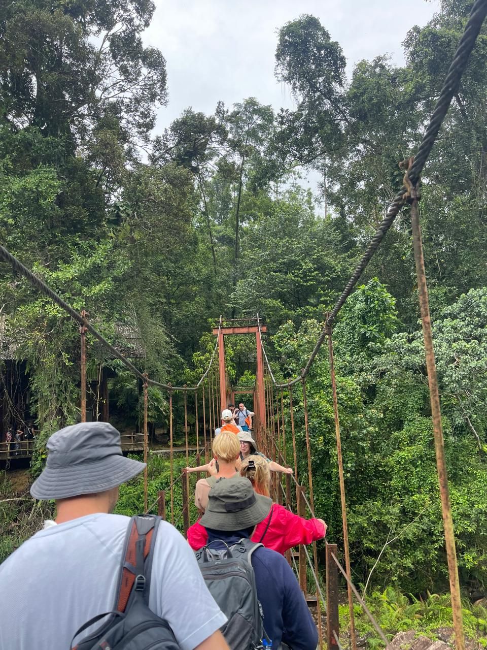 Sinharaja Rainforest Trail gallery 4