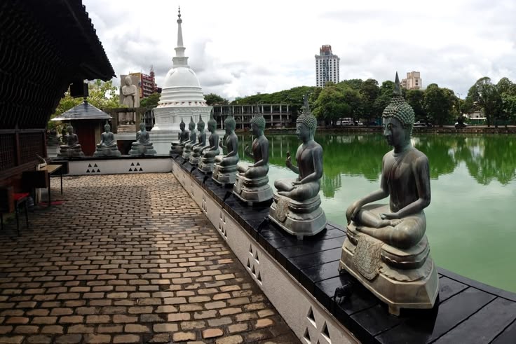 Luxury Sri Lanka Signature Journey gallery 4