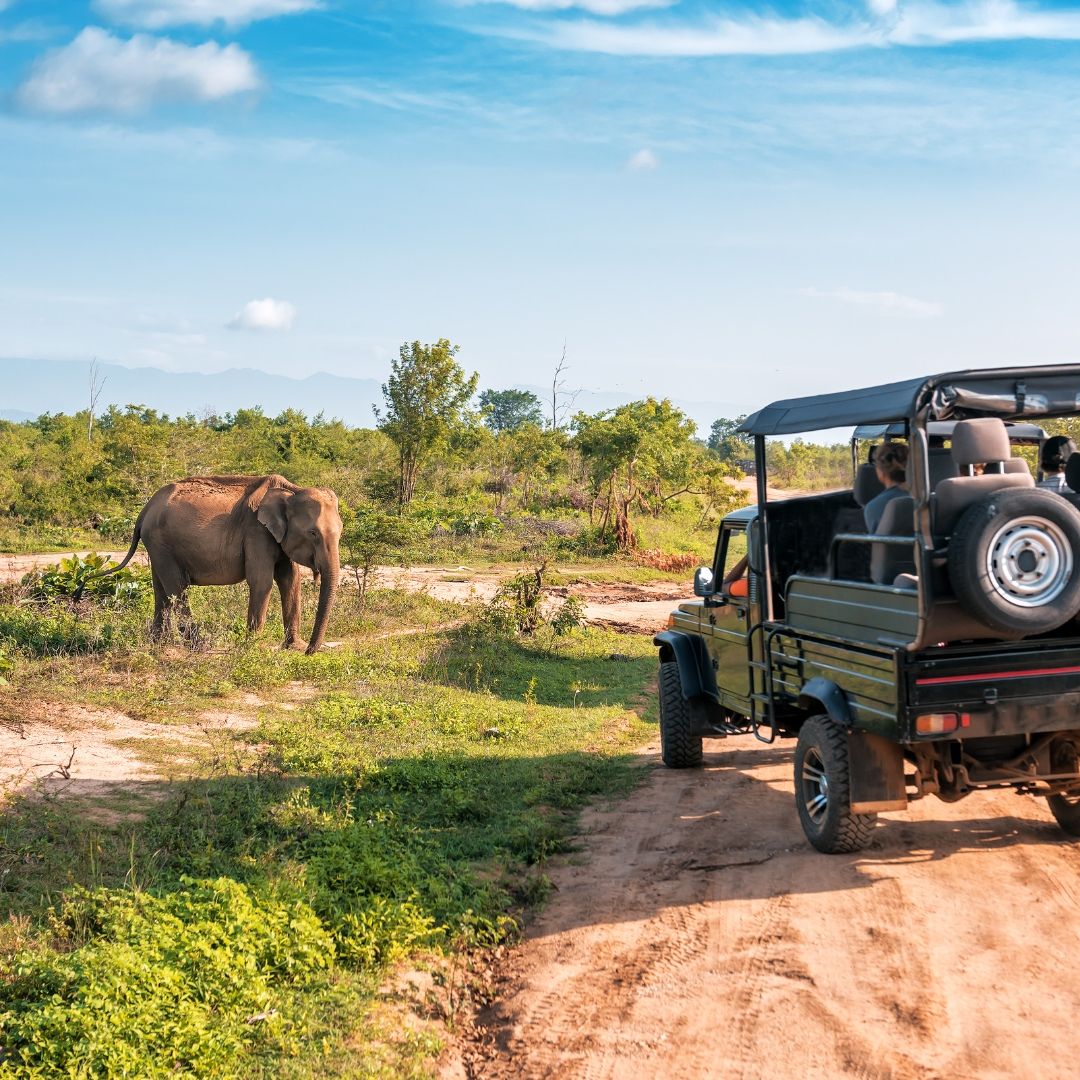 Grand Sri Lanka Explorer gallery 1